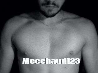 Mecchaud123