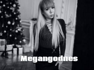 Megangodnes