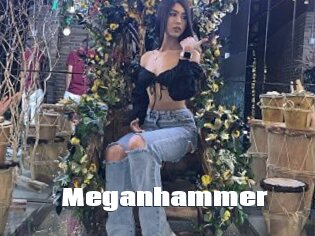 Meganhammer