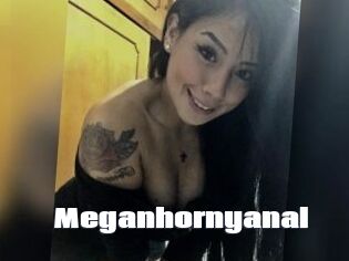 Meganhornyanal