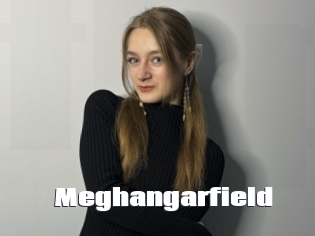 Meghangarfield