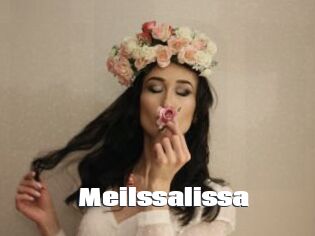 Meilssalissa