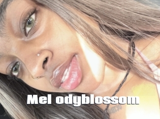 Mel_odyblossom