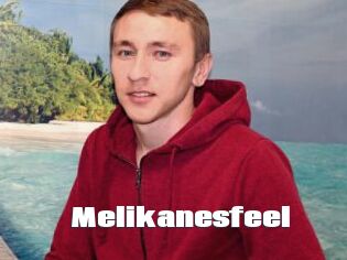 Melikanesfeel