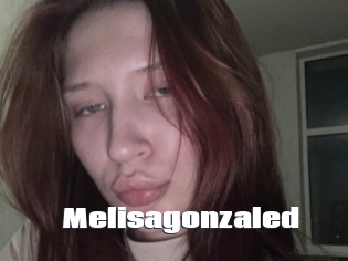 Melisagonzaled
