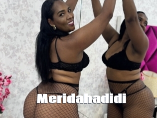 meridahadidi The hot porn