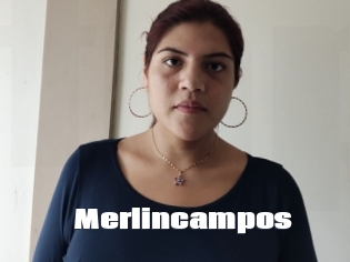 Merlincampos