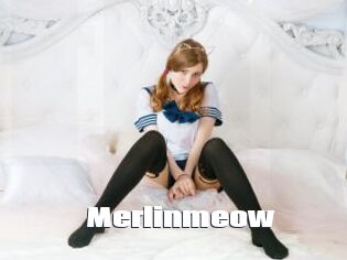 Merlinmeow