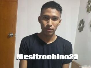 Mestizochino23