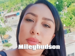 Mileyhudson