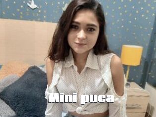 Mini_puca