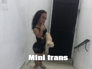 Mini_trans