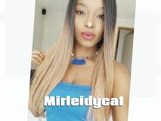 Mirleidycat