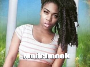 Modelmook