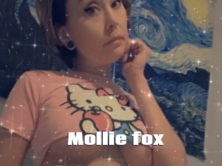 Mollie_fox
