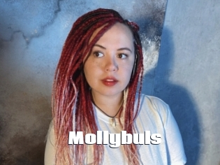 Mollybuls