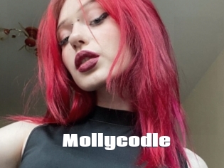 Mollycodle