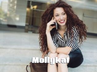 Mollykat