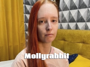 Mollyrabbit