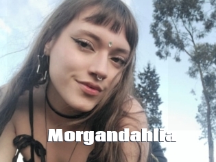 Morgandahlia