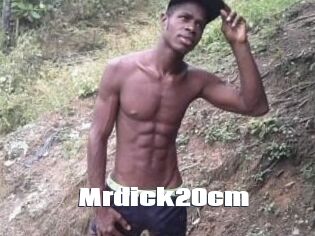 Mrdick20cm