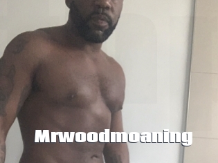 Mrwoodmoaning