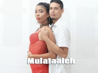 Mulataaleh