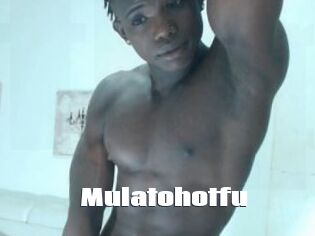Mulatohotfu