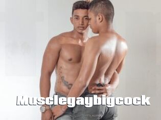 musclegaybigcock The hot porn