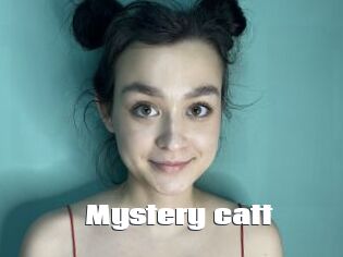 Mystery_catt