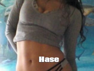 Hase