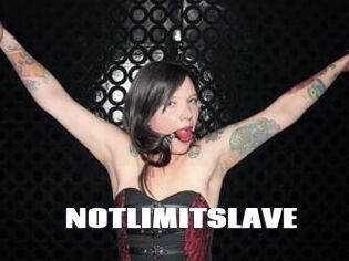 NOTLIMITSLAVE