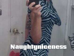 Naughtyniceness