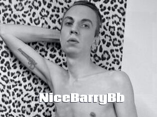 NiceBarryBb