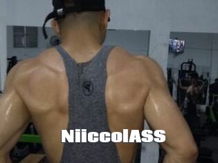 NiiccolASS
