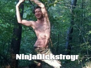 NinjaDickstroyr