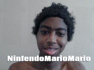 NintendoMarioMario