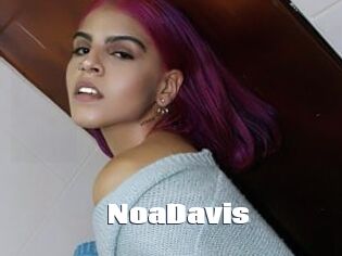 NoaDavis