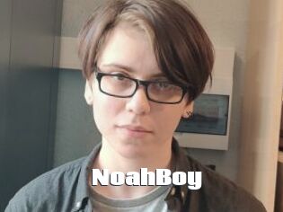 NoahBoy