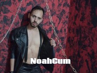 NoahCum
