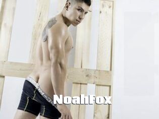 NoahFox