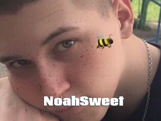 NoahSweet