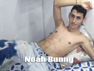 Noah_Bunny