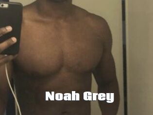 Noah_Grey