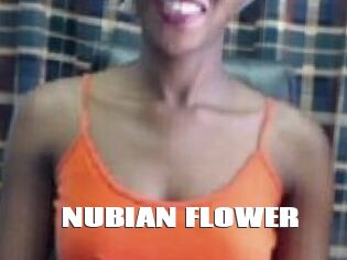 _NUBIAN_FLOWER_