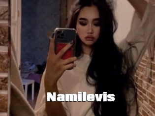 Namilevis