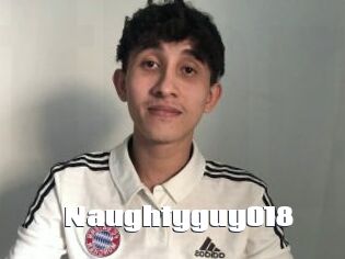 Naughtyguy018
