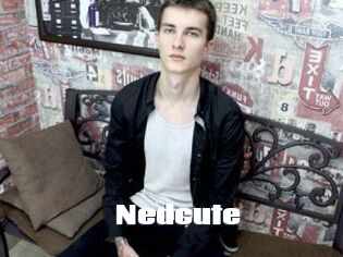 Nedcute
