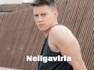 Neilgaviria