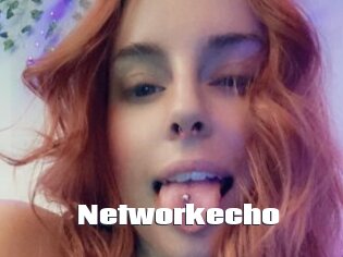 Networkecho